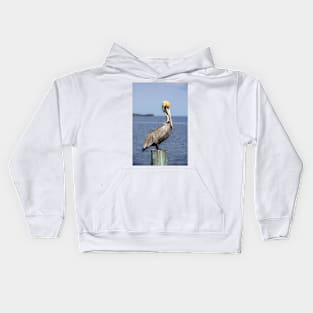 Brown Pelican Kids Hoodie